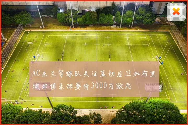 AC米兰等球队关注莱切后卫加布里埃尔俱乐部要价3000万欧元