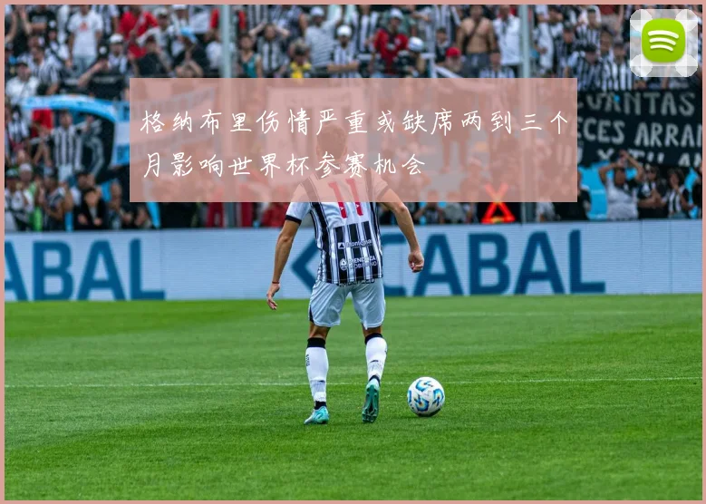 格纳布里伤情严重或缺席两到三个月影响世界杯参赛机会